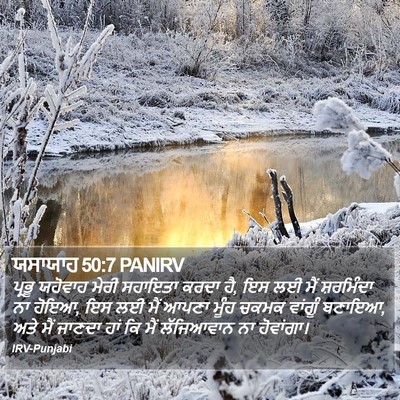ਯਸਾਯਾਹ 50:7 PANIRV Bible Verse Image