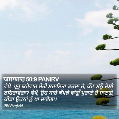 ਯਸਾਯਾਹ 50:9 PANIRV Bible Verse Image
