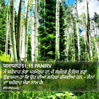 ਯਸਾਯਾਹ 51:15 PANIRV Bible Verse Image