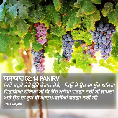 ਯਸਾਯਾਹ 52:14 PANIRV Bible Verse Image