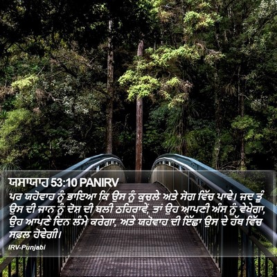 ਯਸਾਯਾਹ 53:10 PANIRV Bible Verse Image