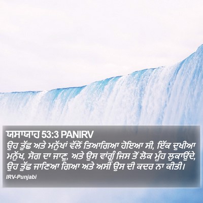 ਯਸਾਯਾਹ 53:3 PANIRV Bible Verse Image
