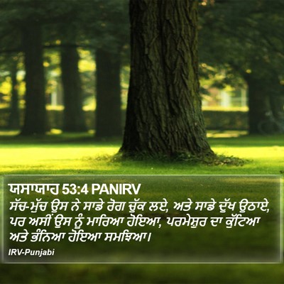 ਯਸਾਯਾਹ 53:4 PANIRV Bible Verse Image
