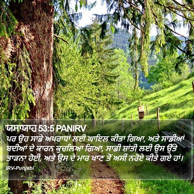 ਯਸਾਯਾਹ 53:5 PANIRV Bible Verse Image