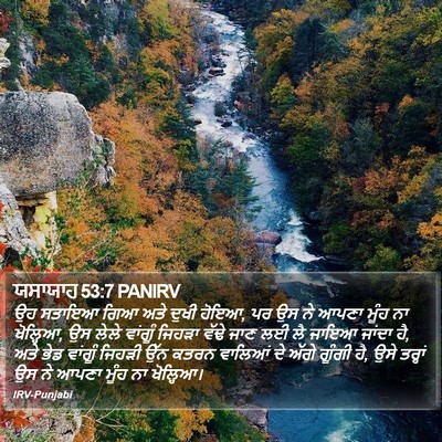 ਯਸਾਯਾਹ 53:7 PANIRV Bible Verse Image