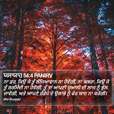 ਯਸਾਯਾਹ 54:4 PANIRV Bible Verse Image