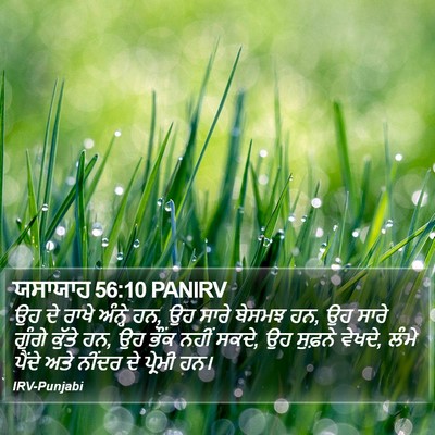 ਯਸਾਯਾਹ 56:10 PANIRV Bible Verse Image