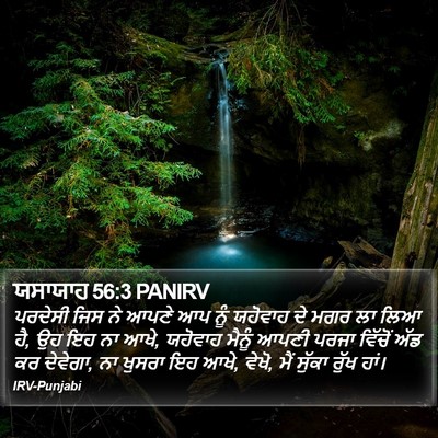 ਯਸਾਯਾਹ 56:3 PANIRV Bible Verse Image