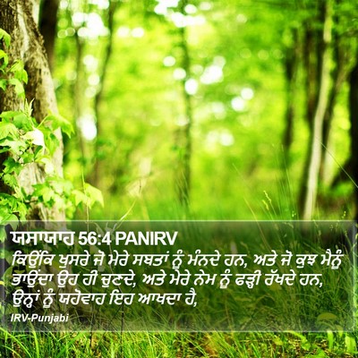 ਯਸਾਯਾਹ 56:4 PANIRV Bible Verse Image