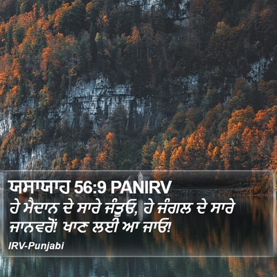ਯਸਾਯਾਹ 56:9 PANIRV Bible Verse Image