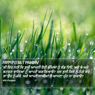 ਯਸਾਯਾਹ 58:7 PANIRV Bible Verse Image
