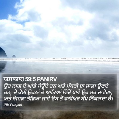 ਯਸਾਯਾਹ 59:5 PANIRV Bible Verse Image
