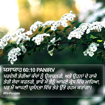 ਯਸਾਯਾਹ 60:10 PANIRV Bible Verse Image