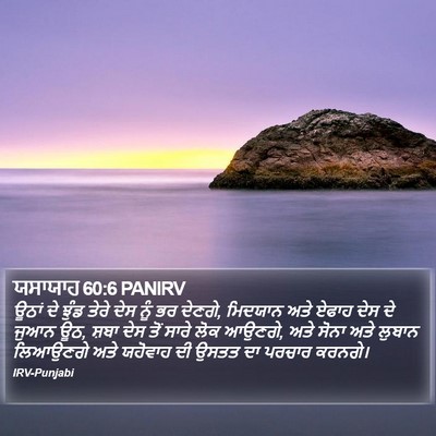 ਯਸਾਯਾਹ 60:6 PANIRV Bible Verse Image
