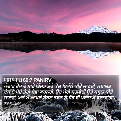 ਯਸਾਯਾਹ 60:7 PANIRV Bible Verse Image