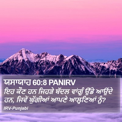 ਯਸਾਯਾਹ 60:8 PANIRV Bible Verse Image