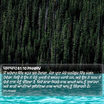 ਯਸਾਯਾਹ 61:10 PANIRV Bible Verse Image