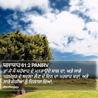 ਯਸਾਯਾਹ 61:2 PANIRV Bible Verse Image