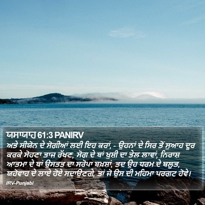 ਯਸਾਯਾਹ 61:3 PANIRV Bible Verse Image