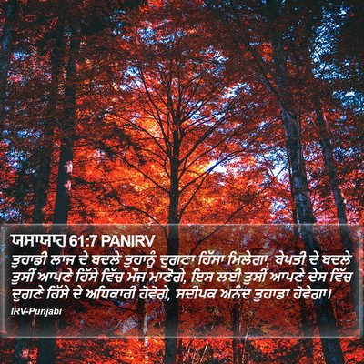 ਯਸਾਯਾਹ 61:7 PANIRV Bible Verse Image