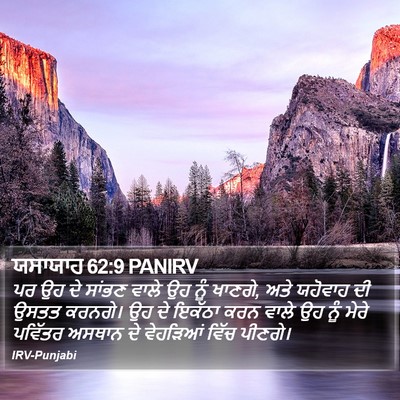 ਯਸਾਯਾਹ 62:9 PANIRV Bible Verse Image