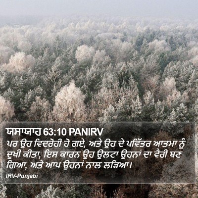ਯਸਾਯਾਹ 63:10 PANIRV Bible Verse Image