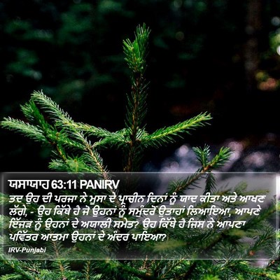 ਯਸਾਯਾਹ 63:11 PANIRV Bible Verse Image