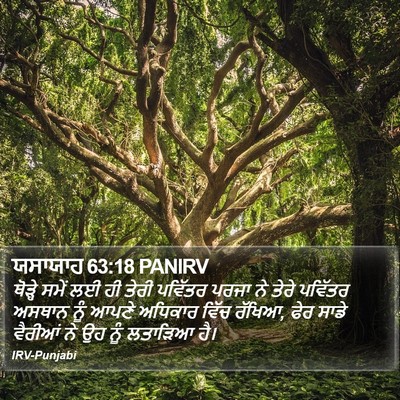 ਯਸਾਯਾਹ 63:18 PANIRV Bible Verse Image