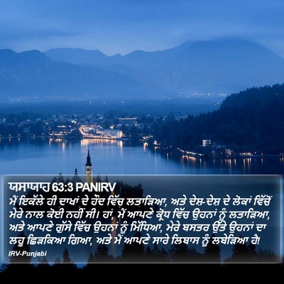 ਯਸਾਯਾਹ 63:3 PANIRV Bible Verse Image