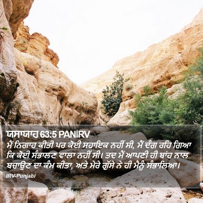ਯਸਾਯਾਹ 63:5 PANIRV Bible Verse Image