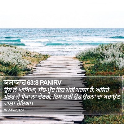 ਯਸਾਯਾਹ 63:8 PANIRV Bible Verse Image