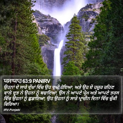 ਯਸਾਯਾਹ 63:9 PANIRV Bible Verse Image