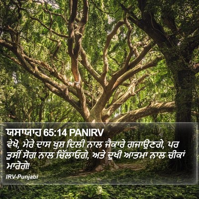 ਯਸਾਯਾਹ 65:14 PANIRV Bible Verse Image