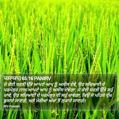 ਯਸਾਯਾਹ 65:16 PANIRV Bible Verse Image