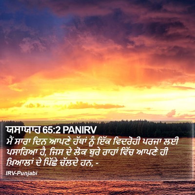 ਯਸਾਯਾਹ 65:2 PANIRV Bible Verse Image