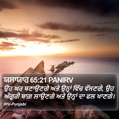 ਯਸਾਯਾਹ 65:21 PANIRV Bible Verse Image