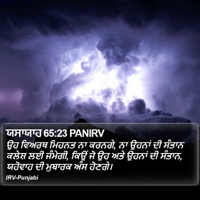 ਯਸਾਯਾਹ 65:23 PANIRV Bible Verse Image