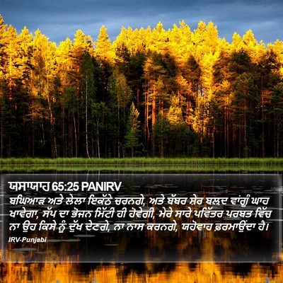 ਯਸਾਯਾਹ 65:25 PANIRV Bible Verse Image