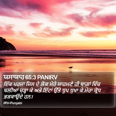 ਯਸਾਯਾਹ 65:3 PANIRV Bible Verse Image