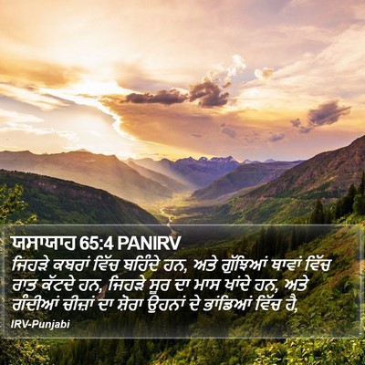 ਯਸਾਯਾਹ 65:4 PANIRV Bible Verse Image