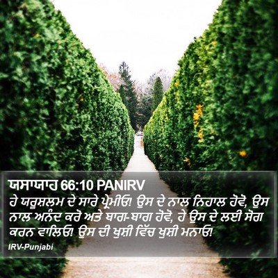 ਯਸਾਯਾਹ 66:10 PANIRV Bible Verse Image