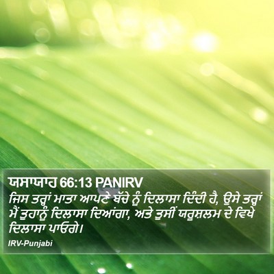 ਯਸਾਯਾਹ 66:13 PANIRV Bible Verse Image