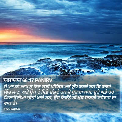 ਯਸਾਯਾਹ 66:17 PANIRV Bible Verse Image