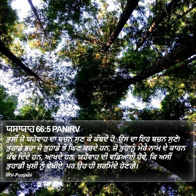 ਯਸਾਯਾਹ 66:5 PANIRV Bible Verse Image