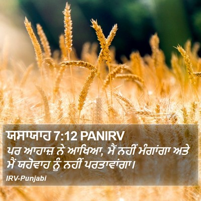 ਯਸਾਯਾਹ 7:12 PANIRV Bible Verse Image