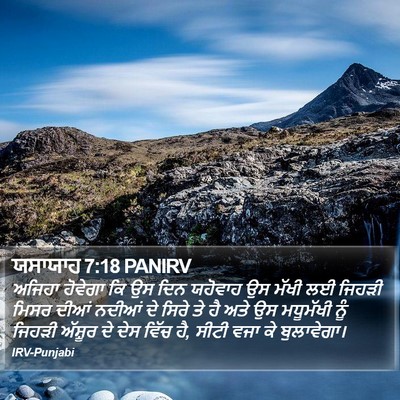 ਯਸਾਯਾਹ 7:18 PANIRV Bible Verse Image