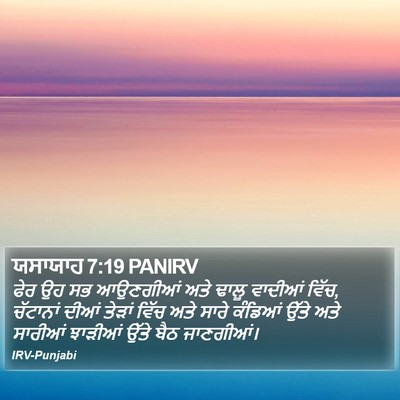 ਯਸਾਯਾਹ 7:19 PANIRV Bible Verse Image