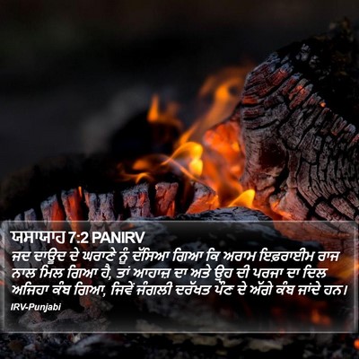 ਯਸਾਯਾਹ 7:2 PANIRV Bible Verse Image