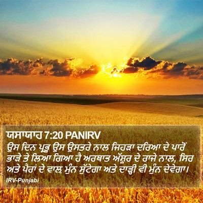 ਯਸਾਯਾਹ 7:20 PANIRV Bible Verse Image