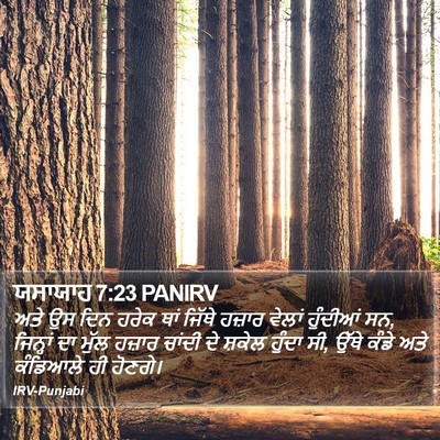 ਯਸਾਯਾਹ 7:23 PANIRV Bible Verse Image